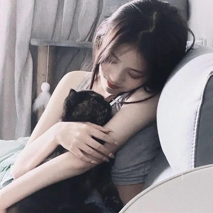 猪太狼的夏天